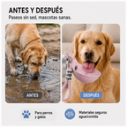 Botella de Agua Portátil para Perros Praxaro